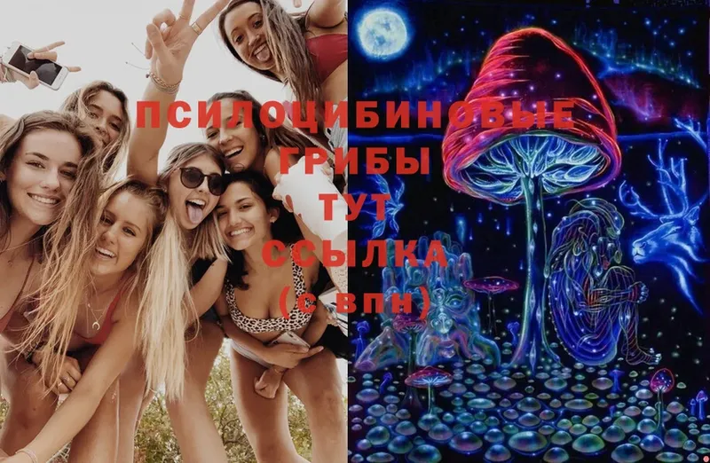 Галлюциногенные грибы MAGIC MUSHROOMS  где купить наркоту  Краснослободск 